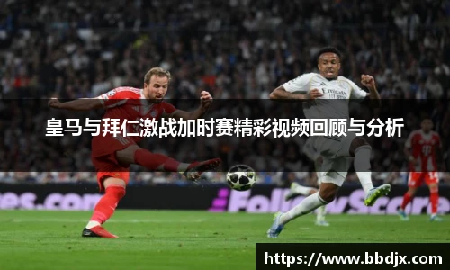 美嘉体育平台